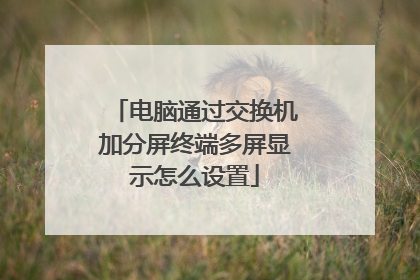 电脑通过交换机加分屏终端多屏显示怎么设置