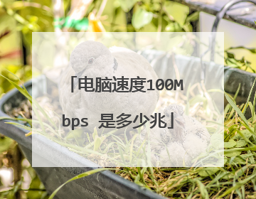电脑速度100Mbps 是多少兆
