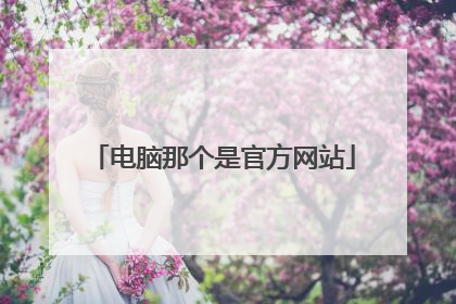电脑那个是官方网站