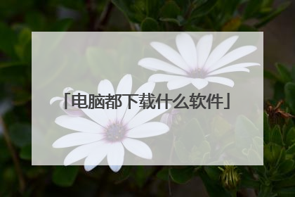 电脑都下载什么软件