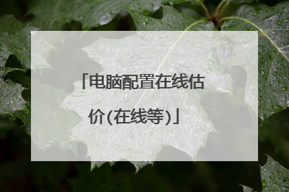 电脑配置在线估价(在线等)