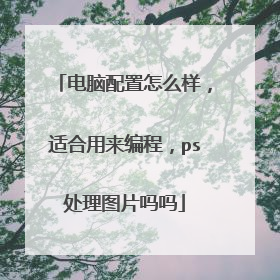 电脑配置怎么样，适合用来编程，ps处理图片吗吗