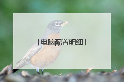 电脑配置明细