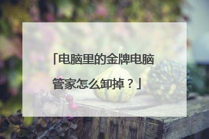 电脑里的金牌电脑管家怎么卸掉?