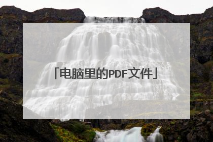电脑里的PDF文件