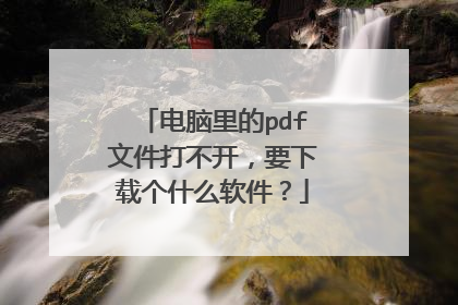 电脑里的pdf文件打不开,要下载个什么软件?