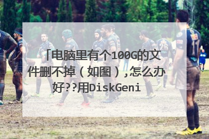 电脑里有个100G的文件删不掉(如图),怎么办好??用DiskGenius检测硬盘没问题