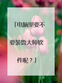 电脑里要不要装鲁大师软件呢?