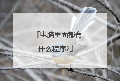 电脑里面都有什么程序?