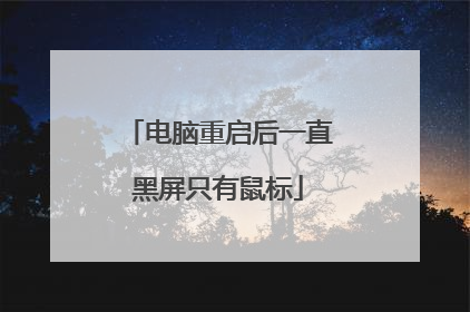 电脑重启后一直黑屏只有鼠标