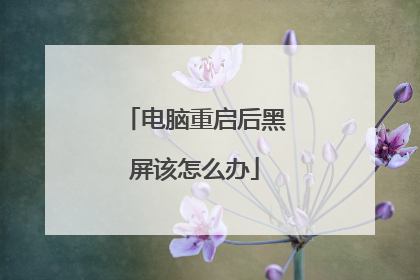 电脑重启后黑屏该怎么办