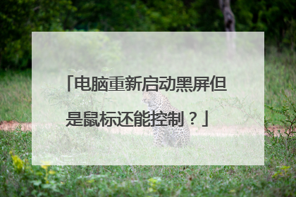 电脑重新启动黑屏但是鼠标还能控制？