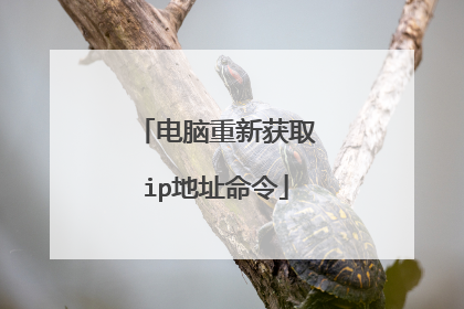 电脑重新获取ip地址命令