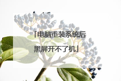 电脑重装系统后黑屏开不了机