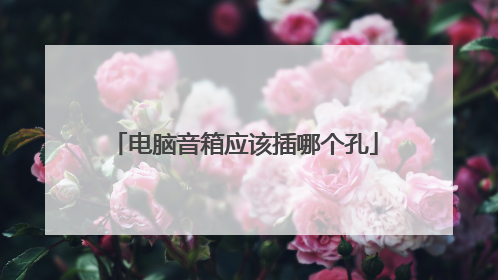 电脑音箱应该插哪个孔