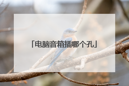电脑音箱插哪个孔