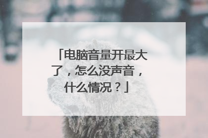 电脑音量开最大了,怎么没声音,什么情况?