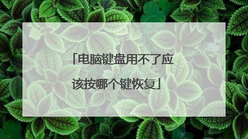 电脑键盘用不了应该按哪个键恢复