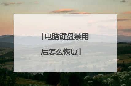 电脑键盘禁用后怎么恢复