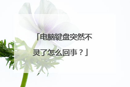 电脑键盘突然不灵了怎么回事?