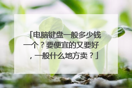 电脑键盘一般多少钱一个?要便宜的又要好,一般什么地方卖?