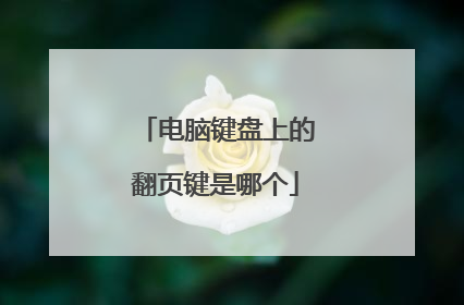 电脑键盘上的翻页键是哪个