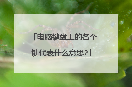电脑键盘上的各个键代表什么意思?