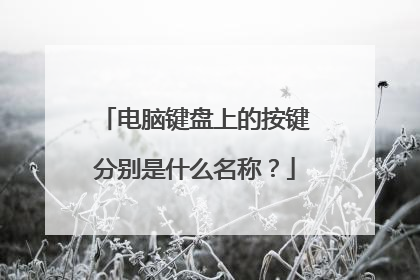 电脑键盘上的按键分别是什么名称？