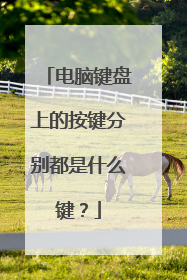 电脑键盘上的按键分别都是什么键？
