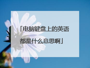 电脑键盘上的英语都是什么意思啊