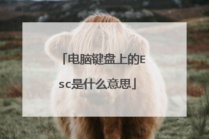 电脑键盘上的Esc是什么意思