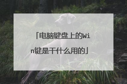 电脑键盘上的Win键是干什么用的
