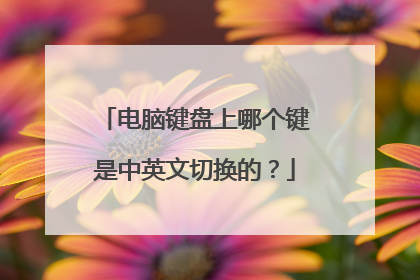 电脑键盘上哪个键是中英文切换的?
