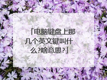 电脑键盘上那几个英文键叫什么?啥意思?
