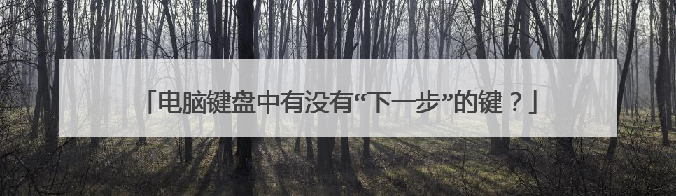 电脑键盘中有没有“下一步”的键？