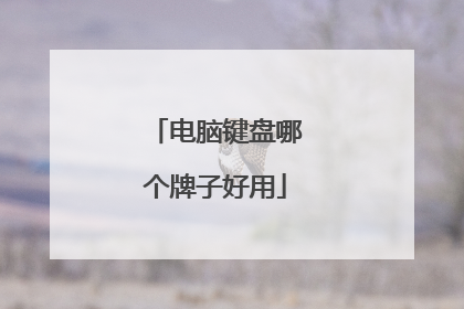 电脑键盘哪个牌子好用