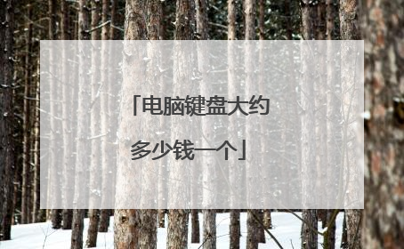 电脑键盘大约多少钱一个
