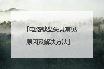 电脑键盘失灵常见原因及解决方法