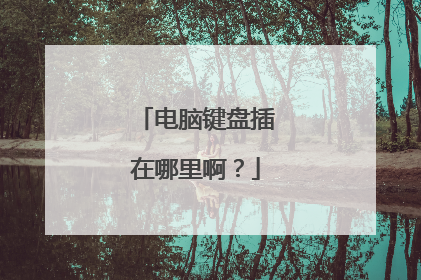 电脑键盘插在哪里啊?