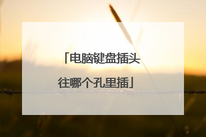 电脑键盘插头往哪个孔里插