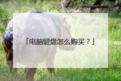 电脑键盘怎么购买?