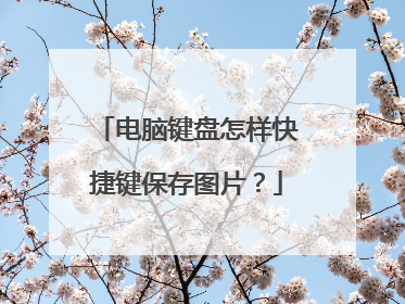 电脑键盘怎样快捷键保存图片？