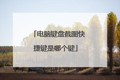 电脑键盘截图快捷键是哪个键