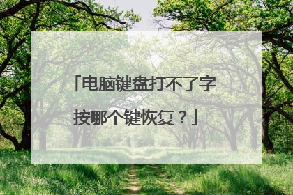 电脑键盘打不了字按哪个键恢复？