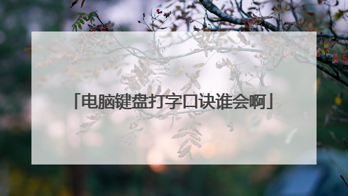 电脑键盘打字口诀谁会啊