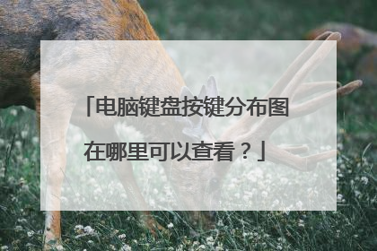 电脑键盘按键分布图在哪里可以查看？