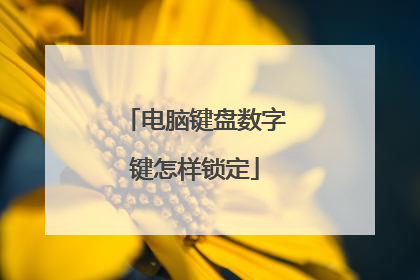 电脑键盘数字键怎样锁定