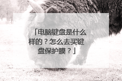 电脑键盘是什么样的?怎么去买键盘保护膜?