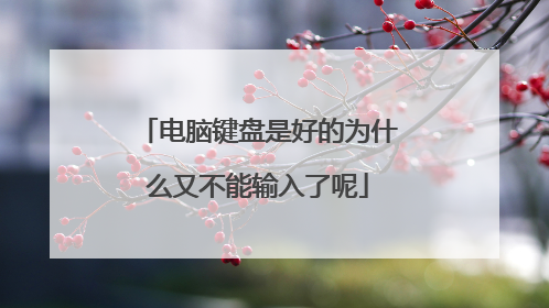 电脑键盘是好的为什么又不能输入了呢
