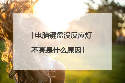 电脑键盘没反应灯不亮是什么原因